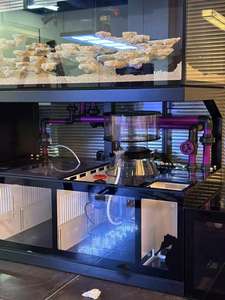 Groothandel op maat gemaakte open-top koraalrif zoutwateraquarium rechthoekige visbak voor woonkamer of kantoorpresentatie - Product Image 3