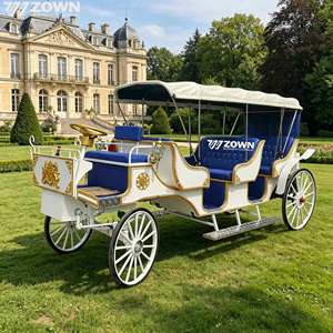 Calèche électrique personnalisée pour événements spéciaux, limousine de tourisme, calèche vintage blanche - Product Image 1