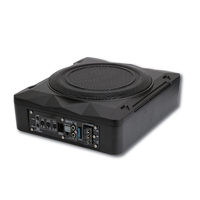 Özel Logo 10 İnç Koltuk Altı Aktif Subwoofer Araba Ses Sistemi İnce Bas Kutusu 12V Yüksek Güçlü Tepe Değeri Evrensel Araba Hoparlörü