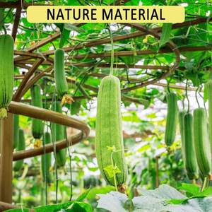 100% naturel organique comprimé luffa <span class=keywords><strong>éponge</strong></span> écologique corps épurateur douche/cuisine nettoyant masseur certifié Eco brosse - Product Image 6