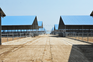 Thiết kế Trung Quốc nông nghiệp xây dựng kết cấu thép cowshed dê nuôi đổ Thiết kế đúc sẵn Barn ổn định - Product Image 5