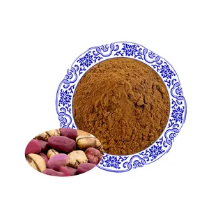 Wholesale price kola nut seed extract powder kola nut for sale