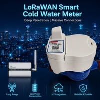Medidor de Agua Inteligente LoRaWAN, IP68 Impermeable, Inalámbrico, Integración AMR/AMI/BMS, LoRa IoT, Proyecto para Edificios de Apartamentos