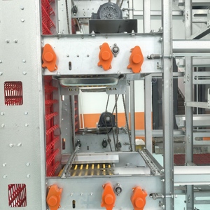 Cage à poulets automatique de type H pour poules pondeuses, avec ramassage automatique des œufs, <span class=keywords><strong>poulailler</strong></span> pour 15 000 oiseaux, 380V, économie de main-d'œuvre - Product Image 3