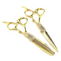 Kits de ciseaux de coupe de cheveux professionnels en acier inoxydable de 6.0 pouces FMC 4 couleurs demi-or ciseaux de beauté droits amincissement pointu