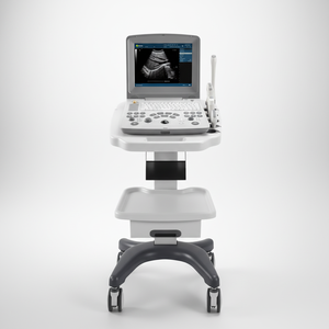 Equipo Veterinario <span class=keywords><strong>de</strong></span> <span class=keywords><strong>Ultrasonido</strong></span> Doppler Color <span class=keywords><strong>3D</strong></span> 4D Portátil <span class=keywords><strong>de</strong></span> Bajo <span class=keywords><strong>Precio</strong></span> EUR VET para Vacas - Product Image 1