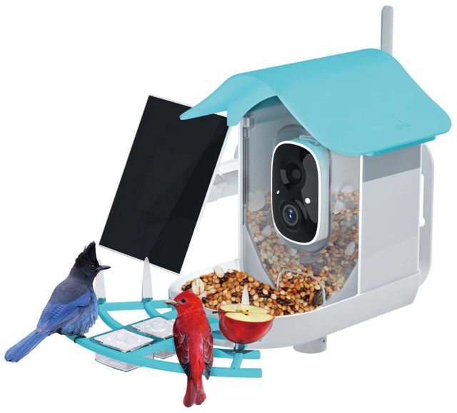 OEM ODM WiFi 1080P Micro SD Card Auto Record Waterproof Bird Feeder Camera Night Vision Solar Powered AI Bird Identification