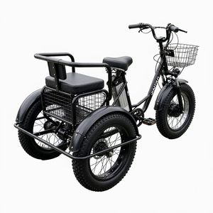 Tricycle électrique 20*4 pouces avec batterie au lithium 48V 15AH, moteur sans balais et cadre en acier au carbone pour le transport de passagers et de marchandises - Product Image 2