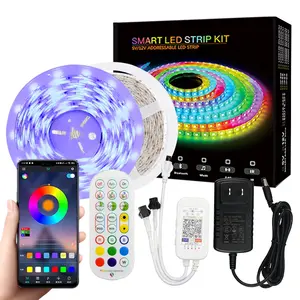 Traum farbe adressierbare RGB-LED-Licht leiste 5M Digital RGB LED-Streifen 24 Tasten SMD IR-Fernbedienung