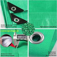 Bâches vertes enduites de HDPE durables enveloppant le tissu de bâche en plastique de bâche de bâche de PE imperméable