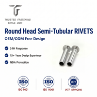 Rivets semi-tubulaires à tête ronde en laiton TianFang pour la production de cadres de signalétique extérieure, finition nickelée, production de précision