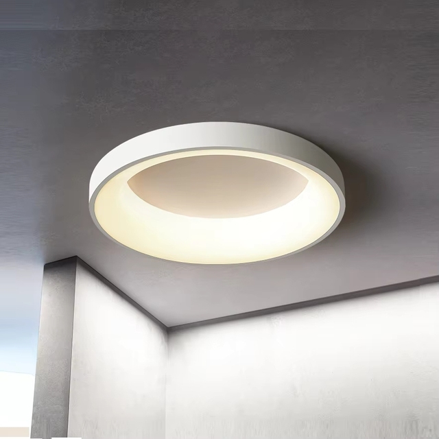 Modern Round Circle LED Ceiling Light Mounted Circular Ring Lamp for Foyer Bedroom Kitchen Decor Lighting Fixture