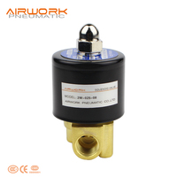 Válvula Solenoide Eléctrica de Control de Agua de Latón Serie 2W 24V DC/220V AC OEM AIRWORK