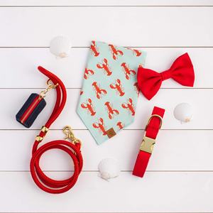 Vente en gros de sac à crottes en plomb pour animaux de compagnie rouge d'extérieur personnalisé à la mode - Product Image 3