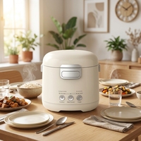 Mini cuiseur à riz intelligent 1,2 L, cuve intérieure antiadhésive en titane, programmation 12h, petit cuiseur à riz électrique avec cuiseur vapeur pour 1-2 personnes