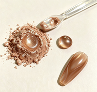 Pigment magnétique en aluminium effet œil de chat 9D marron caramel métallisé 5-100 microns GuanZun pour vernis à ongles en gel, salon et manucure DIY