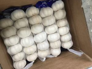 Prix de gros, ail blanc pur biologique de qualité supérieure, frais, 100% biologique, provenant de Shandong, nouvelle récolte en vente - Product Image 4