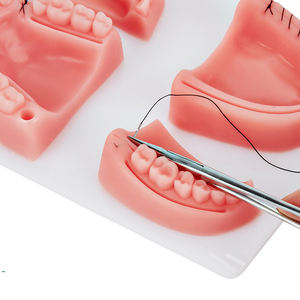 Almohadilla de sutura de ortodoncia, módulo Dental, almohadilla de sutura quirúrgica, Kit de práctica para almohadillas de sutura dental médica para dentistas, Ideal para abolladuras - Product Image 1
