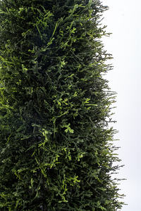 Decoración interior y exterior Treesmas 1,3 metros de altura en forma de cono Topiary Árbol verde artificial Árboles de plástico y metal - Product Image 5