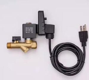 Vanne solénoïde de purge automatique en laiton 16 bars CS728 1/2 pouce 12V, vannes haute pression pour l'eau, garantie 2 ans, fabriqué en Chine - Product Image 1