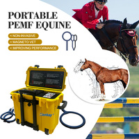 Appareil de thérapie magnétique portable pour cliniques équines, soins vétérinaires, entraîneurs de chevaux, dispositif de thérapie PEMF pour chevaux