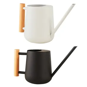 Arrosoir d'intérieur de 900 ml avec long bec verseur, poignée en bois confortable, arrosoir en acier inoxydable pour plantes d'intérieur - Product Image 1
