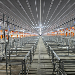 Top Sale Pig Gestation <b>Cages</b> for Pig Gestation Stainless Steel Vietnam Manufacturer - Product Image 6