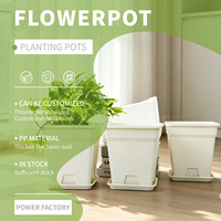 Pots carrés en plastique pour plantes vertes avec trou de drainage, durables pour une utilisation intérieure/extérieure - Prêts à l'arrosage, capacité de 3,23 L, pack en gros