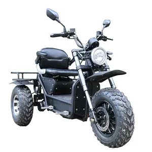 超大功率12英寸热卖电动摩托车3000W 10000w 60V \ 72v高速电机电动摩托车