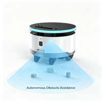 Châssis de robot Hot Wheel, capacité de charge de 60 kg, plateforme mobile autonome pour le développement de la robotique IA, intégration OEM de robots personnalisés