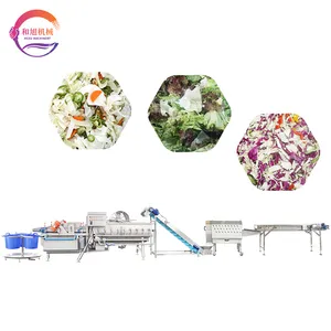 Ligne de traitement de salade ligne de production végétale coupe de fruits et légumes ligne de séchage de lavage