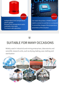 Dọc loại phòng thí nghiệm nhiệt độ không đổi thiết bị sưởi ấm 300 ℃ điện sưởi ấm nhiệt độ không đổi Vụ Nổ hộp sấy - Product Image 5