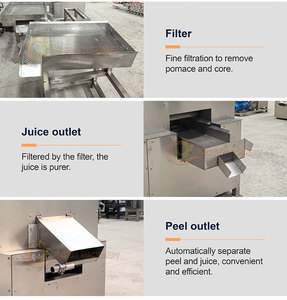 Presse-agrumes à double rouleau pour fruits, citron, citronnelle, <span class=keywords><strong>satsuma</strong></span>, avec épluchage automatique, machine à jus entièrement automatique - Product Image 5
