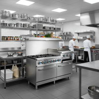 Cuisinière à gaz robuste à 6 brûleurs avec plaque de cuisson de 24 pouces, salamandre et double four, équipement de cuisson commercial en acier inoxydable