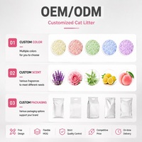 Litière pour chat en bentonite naturelle, agglomération rapide, désodorisante, super absorbante, légère, facile à ramasser, distributeur en gros