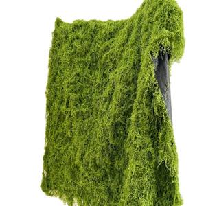 Tapis de <span class=keywords><strong>mousse</strong></span> en plastique de gazon de <span class=keywords><strong>mousse</strong></span> verte artificielle plantes réalistes mur de <span class=keywords><strong>mousse</strong></span> sol de paysage de jardin pour la décoration de restaurant - Product Image 2