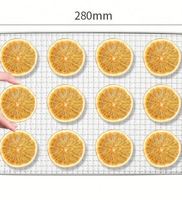 Kleine capaciteit huishoudelijke 6-bakjes dehydrator van roestvrij staal voor fruit, groenten, beef jerky en kleine voedselproducten.