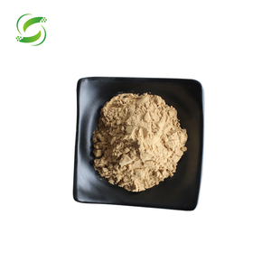 100% tự nhiên độ tinh khiết cao sư tử bờm nấm chiết xuất bột hericium erinaceus chiết xuất bột - Product Image 1