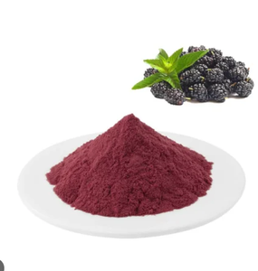 Bubuk <span class=keywords><strong>Bilberry</strong></span> organik segar pabrik jus panas jumlah rendah non-aditif bubuk jus alami - Product Image 6