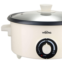 Nouveaux produits : Marmite électrique 3L avec réglage de la chaleur, appareils de cuisine, couleur personnalisée, couvercle en verre trempé pour usage domestique