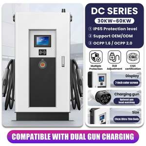 30KW 40KW 60KW GPRS 4G WI-FI admite protección contra fugas 2 pistolas personalizado comercial rápido EV DC cargador pila - Product Image 2
