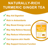 Sachets de thé au curcuma, gingembre et cannelle, thé aux herbes 100% naturel, stimule l'immunité, améliore la digestion, anti-inflammatoire