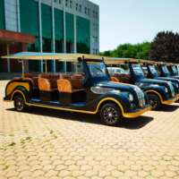 OEM/ODM Autobus classique à batterie électrique personnalisé Meilleur prix de gros Voiturette de golf électrique Buggy