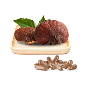 OEM ODM <span class=keywords><strong>Reishi</strong></span> mantarı kapsül mantar özü kapsül - Product Image 2