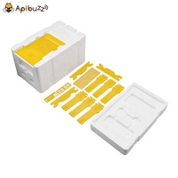 Abeille de grande taille, Mini boîte d'allumettes, noyau en polystyrène, ruche pour abeilles, équipement pour apiculteur, fournitures d'outils pour l'apiculture