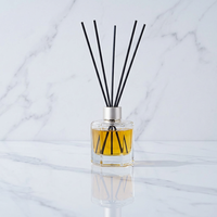 Flacon diffuseur de parfum en verre carré mat unique, vide, à suspendre, de luxe, 10ml 50ml 80ml 120ml, flacon parfumé 4oz avec boîte