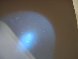 <span class=keywords><strong>Certificato</strong></span> di Garanzia di Autenticità con Stampa a Caldo su Carta Filigranata e Ologramma di Sicurezza - Product Image 3