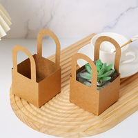 Boîtes cadeaux personnalisées en papier kraft imperméable avec fenêtre transparente en PVC et poignée en corde pour mini-pots de plantes succulentes, emballage pour plantes vertes