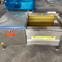 Machine industrielle de lavage de légumes, éplucheuse de pommes de terre, nettoyeur de légumes racineux, laveuse à rouleaux à brosses, équipement de transformation alimentaire