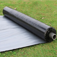 Film de paillage agricole en plastique argenté noir 35 microns pour fraises